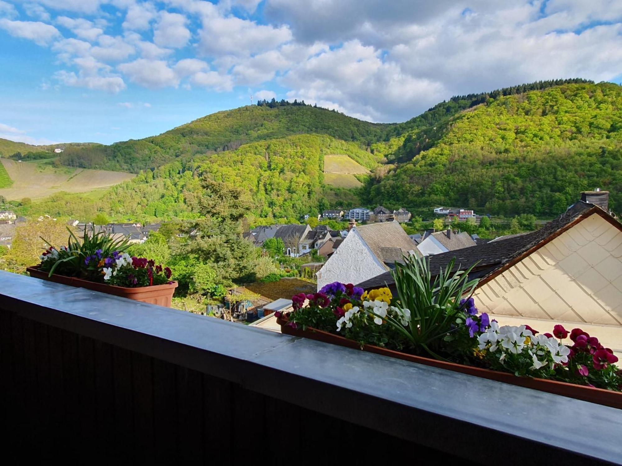 Ferienwohnung Bauer Бернкастель-Кюс Экстерьер фото